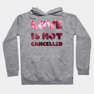 Love is not cancelled Love is not canceled Hoodie